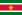 Embassies in Suriname